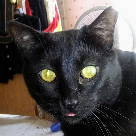 Meet your Posher, Liz - Picture 6 of 16